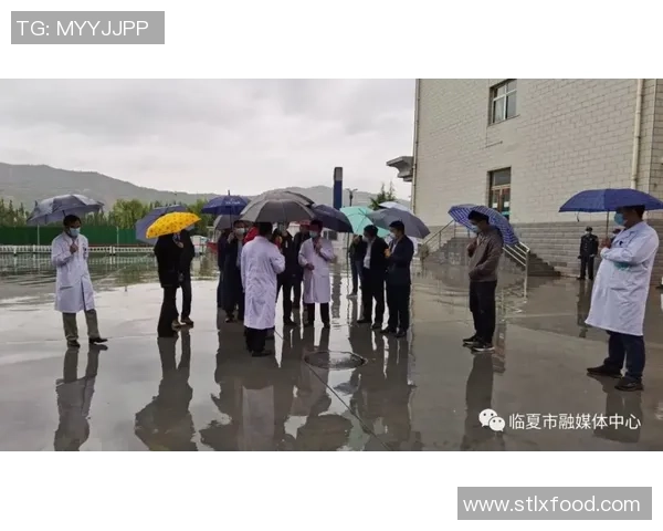 上海城市马拉松评析：极限运动队展现灵活性与团队协作的精彩瞬间