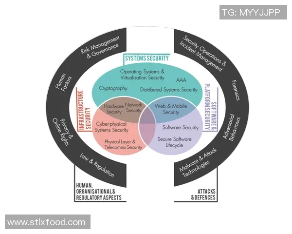 成都乒乓球队战术解析：全面解读其盯防体系与实战应用